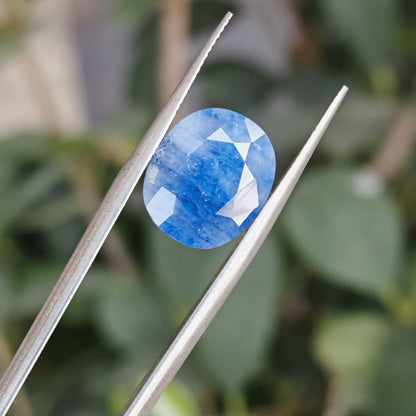 Ceylon Neelum: The Royal Blue Sapphire of Sri Lanka