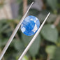 Ceylon Neelum: The Royal Blue Sapphire of Sri Lanka