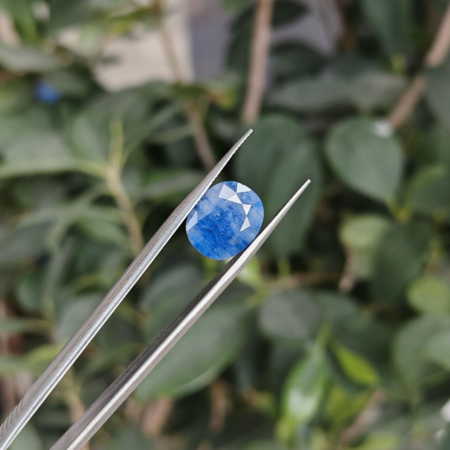 Ceylon Neelum: The Royal Blue Sapphire of Sri Lanka