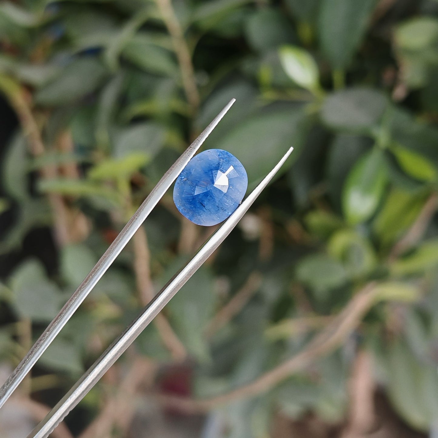 Ceylon Neelum: The Royal Blue Sapphire of Sri Lanka