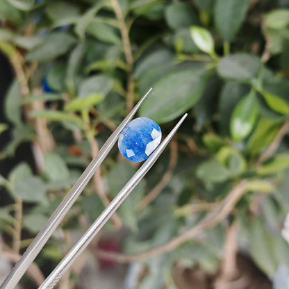 Ceylon Neelum: The Royal Blue Sapphire of Sri Lanka