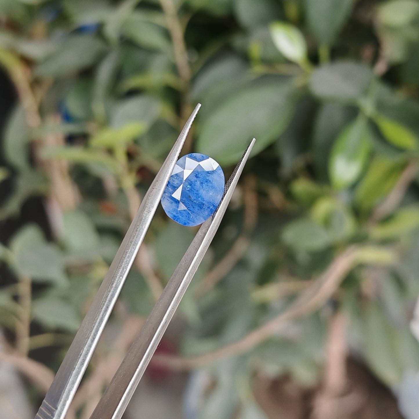Ceylon Neelum: The Royal Blue Sapphire of Sri Lanka