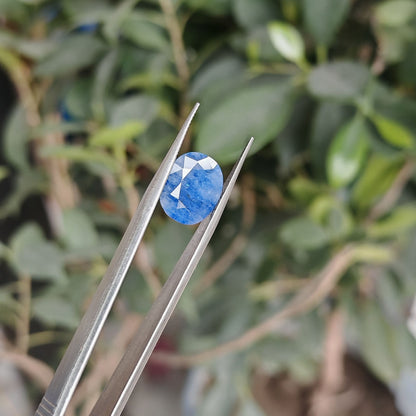 Ceylon Neelum: The Royal Blue Sapphire of Sri Lanka