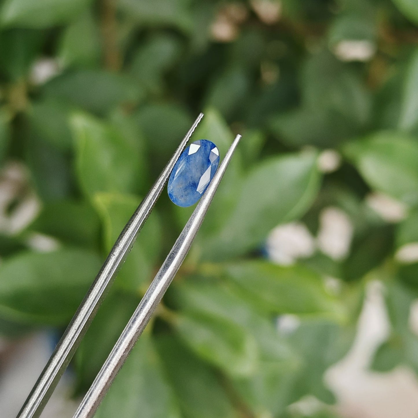 Natural Blue Sapphire: The Celestial Gem of Wisdom and Protection