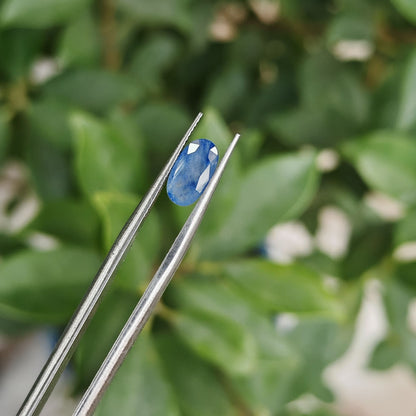 Natural Blue Sapphire: The Celestial Gem of Wisdom and Protection