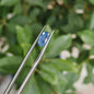 Natural Blue Sapphire: The Celestial Gem of Wisdom and Protection