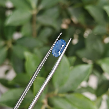 Natural Blue Sapphire: The Celestial Gem of Wisdom and Protection