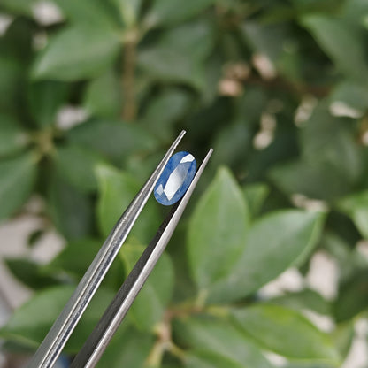 Natural Blue Sapphire: The Celestial Gem of Wisdom and Protection