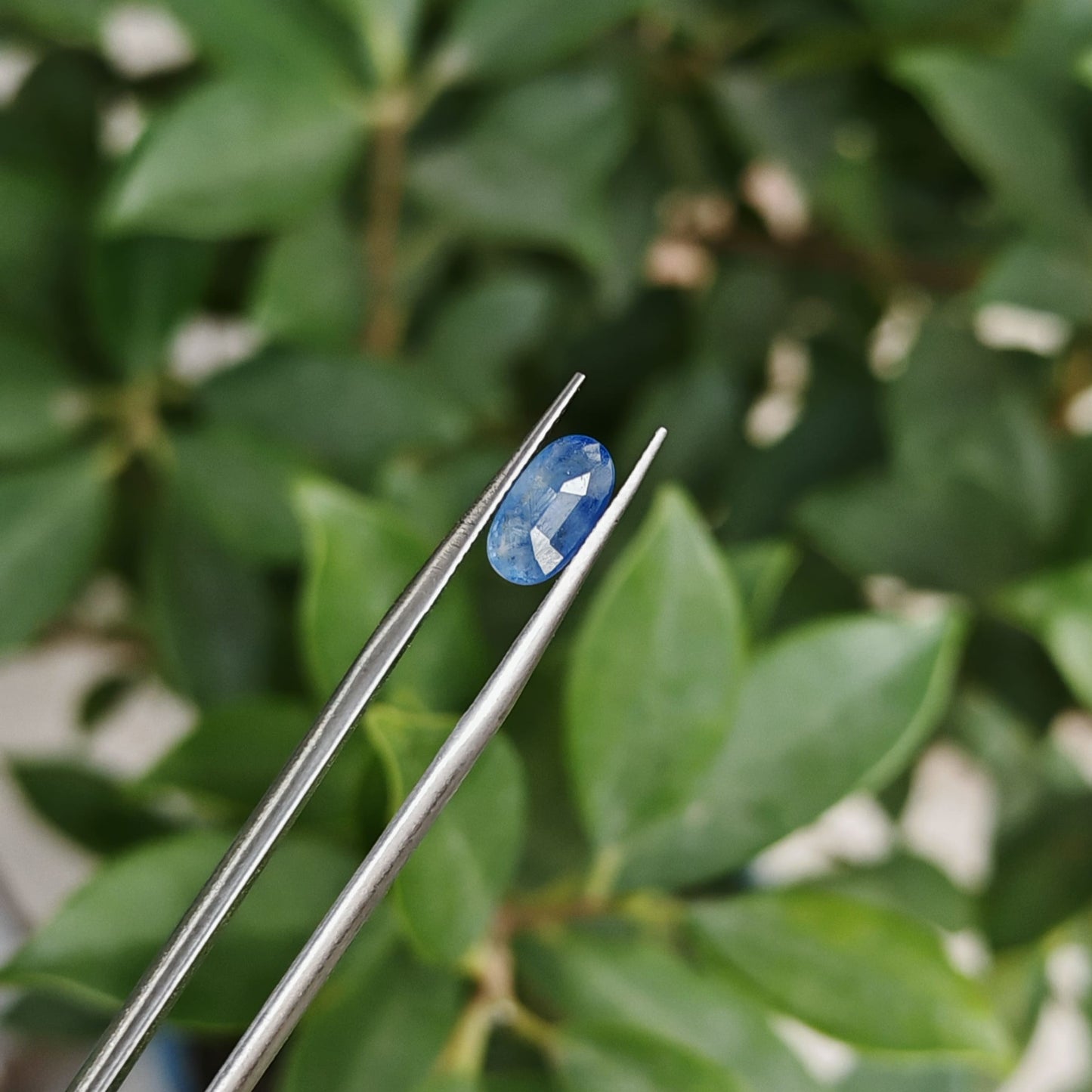 Natural Blue Sapphire: The Celestial Gem of Wisdom and Protection