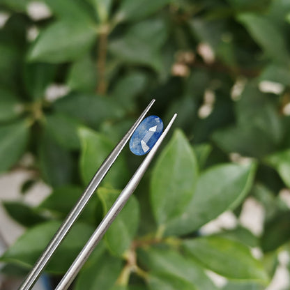 Natural Blue Sapphire: The Celestial Gem of Wisdom and Protection