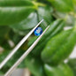 Ceylon Neelum Sapphire: A Symbol of Power and Grace