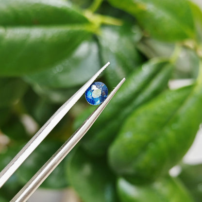 Ceylon Neelum Sapphire: A Symbol of Power and Grace