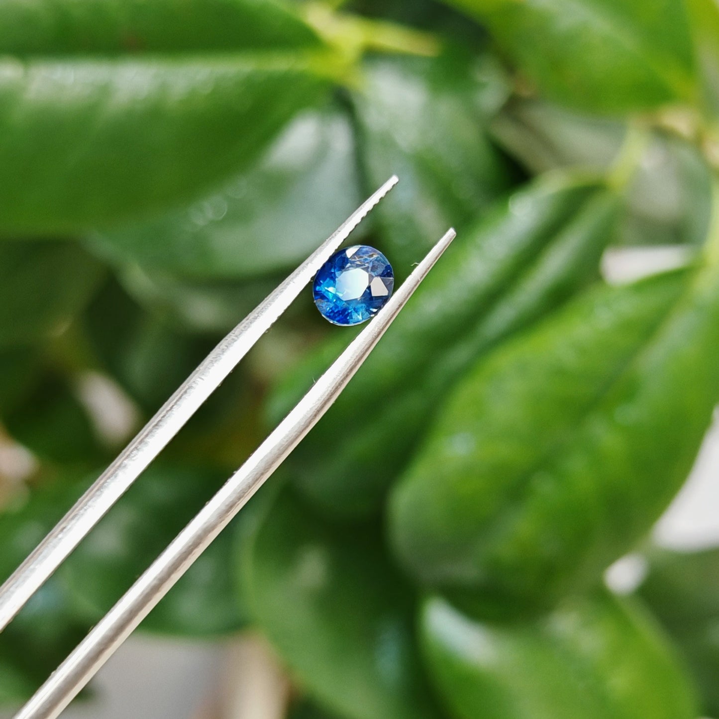 Ceylon Neelum Sapphire: A Symbol of Power and Grace