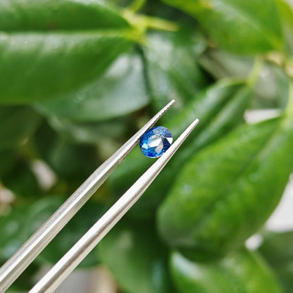 Ceylon Neelum Sapphire: A Symbol of Power and Grace
