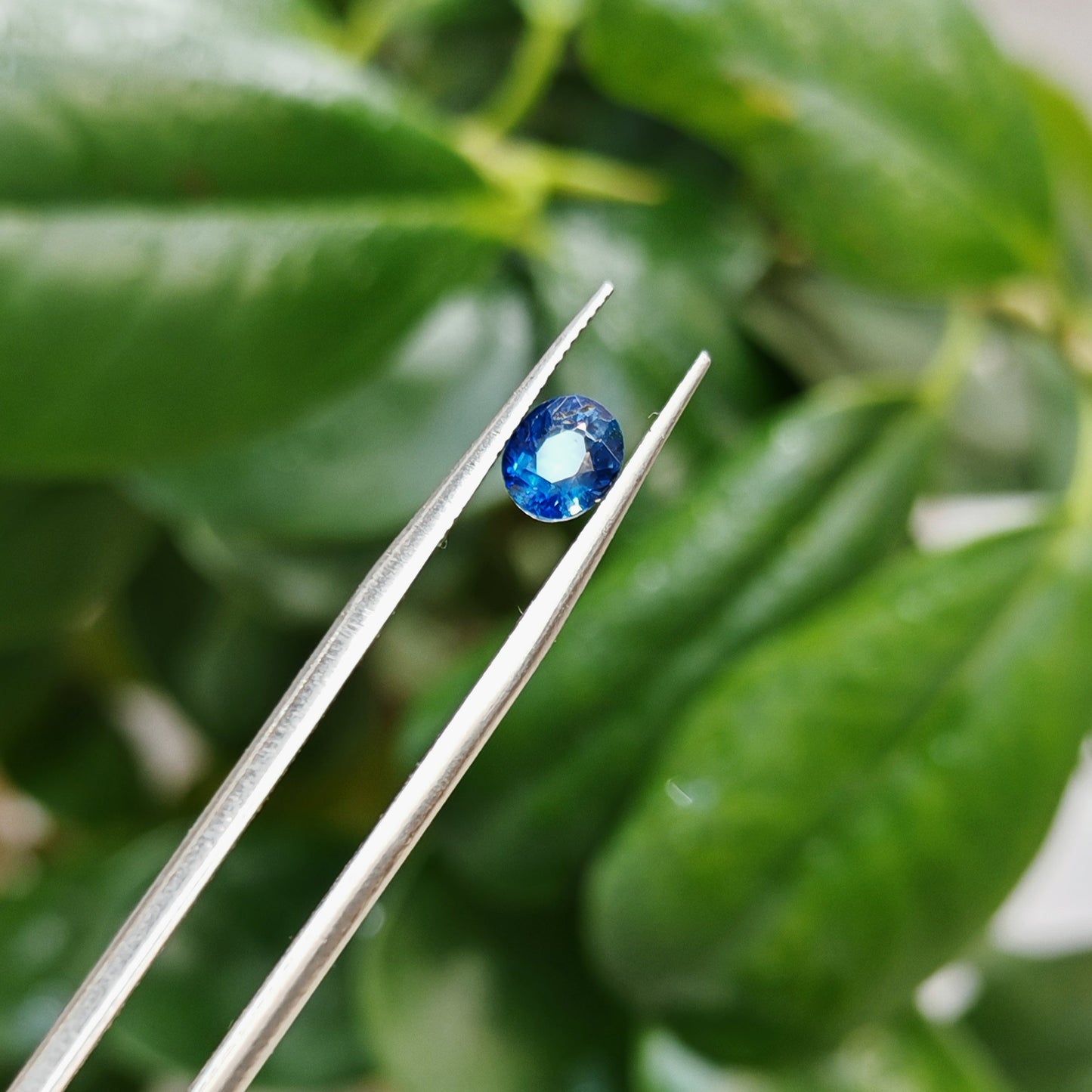 Ceylon Neelum Sapphire: A Symbol of Power and Grace