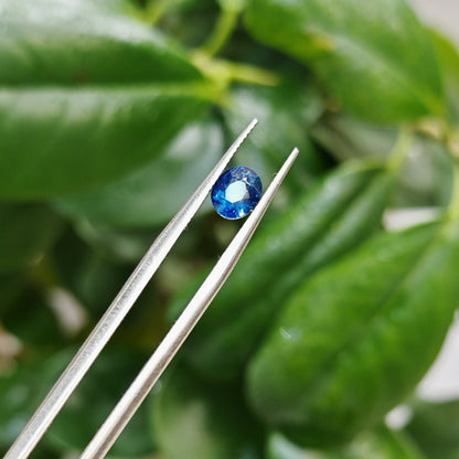 Ceylon Neelum Sapphire: A Symbol of Power and Grace