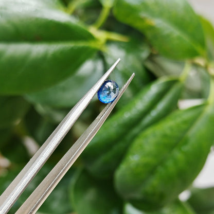 Ceylon Neelum Sapphire: A Symbol of Power and Grace