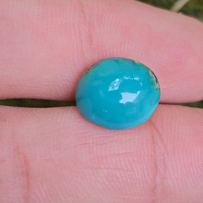 Nishapuri Feroza: The Exquisite Gem of Persia